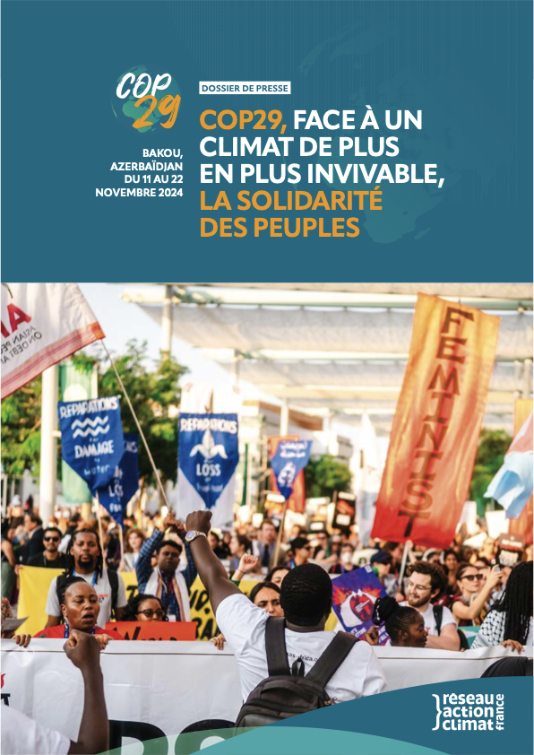 COP29 face au changement climatique la nécessaire solidarité des