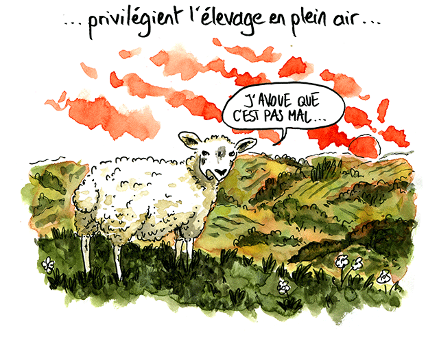 Planetman à table 9