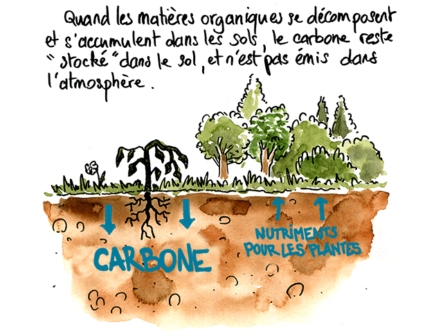 Planetman est tout sol 2