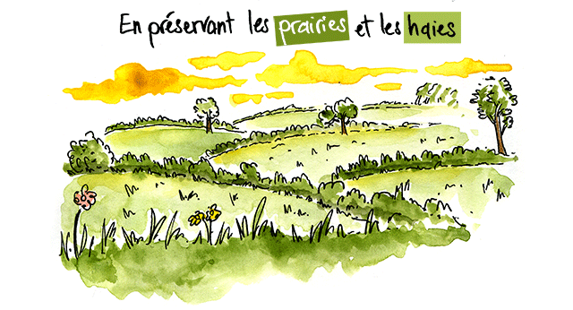 Planetman est tout sol 4