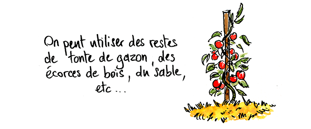 Planetman est tout sol 5