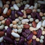 Legumes_secs Legumes_secs