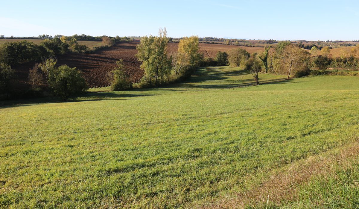 Paysage cultures du Gers