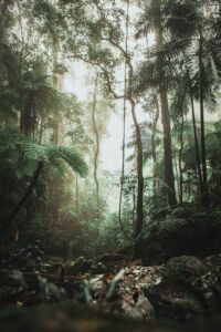 justin-clark-H7JiEU8Slnw-unsplash