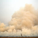Crop Stubble Burning, thick smoke billowing into the sky, a farming practise to clear the land Crop Stubble Burning, thick smoke billowing into the sky, a farming practise to clear the land