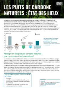Puits CO2 - synthese