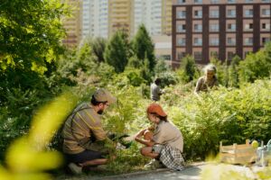 Caucasian Man and Young Girl Planting Shrubs in Urban Community Garden